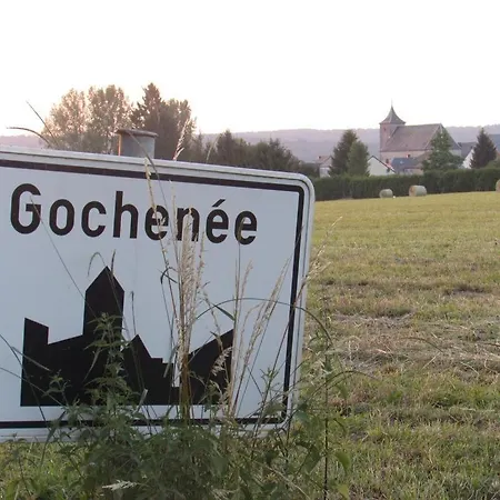 Les Graines Du Pairet * Gochenee